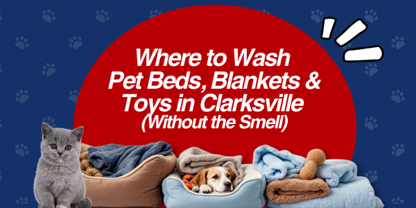 Where To Wash Pet Beds, Blankets & Toys In Clarksville Great American Laundry