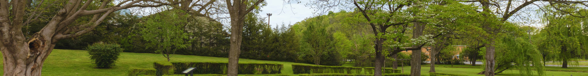 Beautiful Green Historic Property